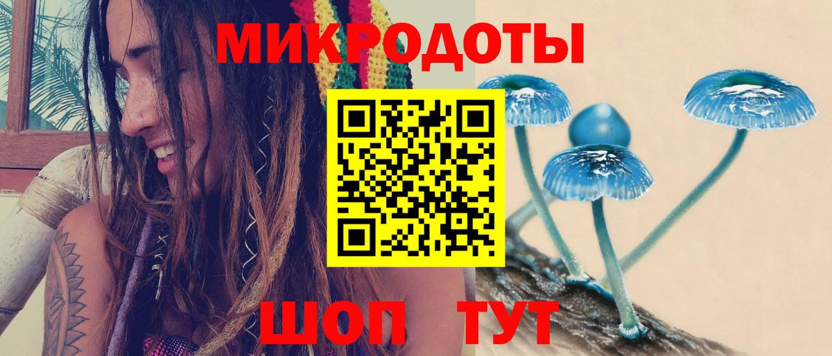 Галлюциногенные грибы Psilocybe  Вход с VPN  Волгоград 