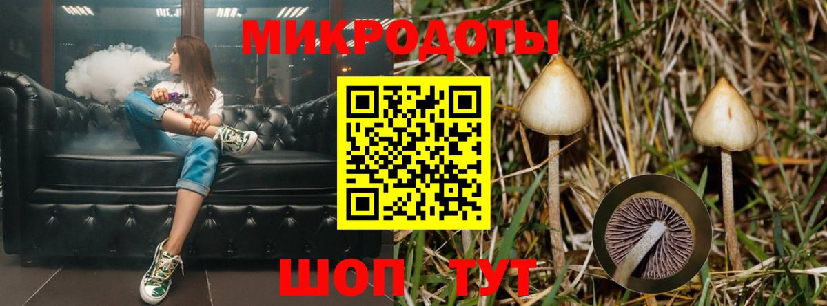 Галлюциногенные грибы мухоморы Волгоград