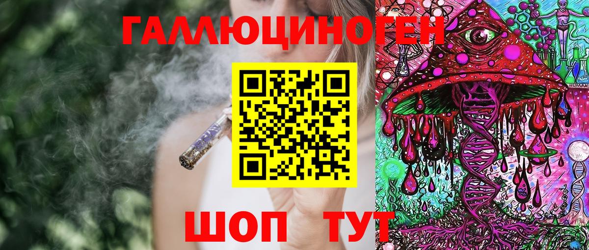 Псилоцибиновые грибы Psilocybe  Галлюциногенные грибы Psilocybe  Волгоград 